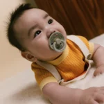 Bibs βρεφική Πιπίλα Colour Holiday Leaf Latex 2 Sage/Hunter Green για Αγόρι Πράσινο 12027101 - Image 3